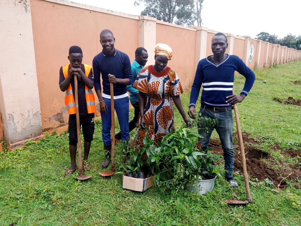 Tree planting activity